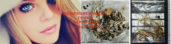 ешки Алексин